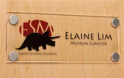 3/4" Round Brass Screw Cover Set, Includes (8) Screws & Covers - Silver