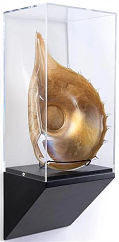 10”w Wall Wedge Display Case W/ MDF Base And Lift Off Acrylic Vitrine - Black