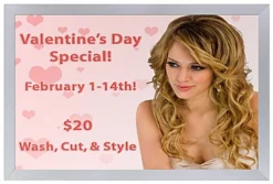 24 X 36 LED Light Box For Windows, Double Sided, Hanging Kit Sold Separate - Silver