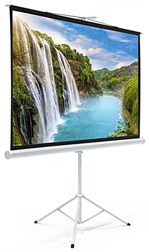 79 X 45 Projector Screen With Tripod Stand, 90-inch Retractable Screen - Black